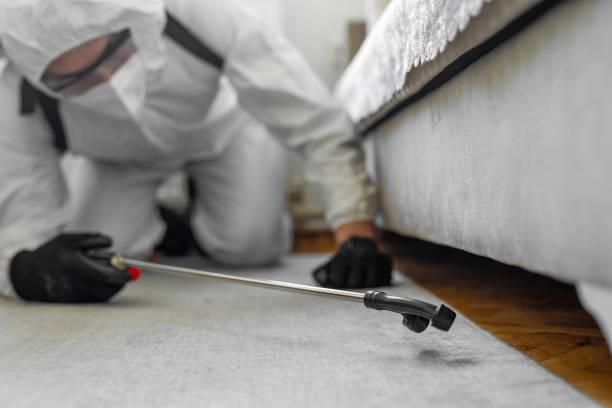 Professional Bed Bug Control technician working in Nelson County County, KY